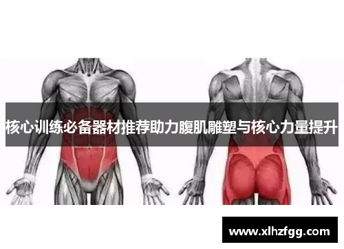 核心训练必备器材推荐助力腹肌雕塑与核心力量提升