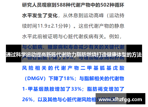 通过科学运动提高新陈代谢助力脂肪燃烧打造健康体型的方法