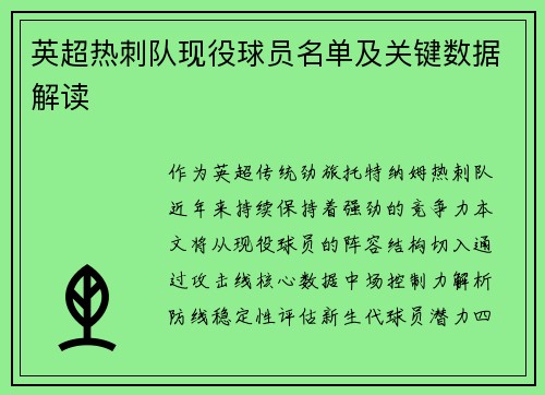 英超热刺队现役球员名单及关键数据解读